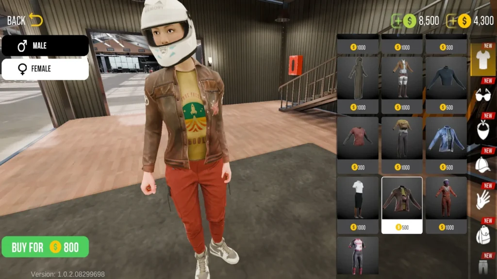 Vehicle and Character Customization